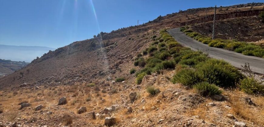 zahle hazzerta land 2000 sqm for sale #6756