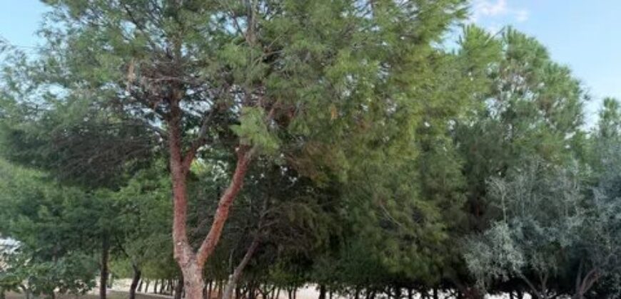 Spain Get your residency! townhouse in a quiet area 109627353