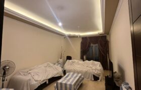 maalaka luxurious apartment fully furnished and decorated #6816