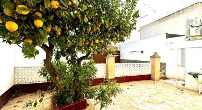 Spain Get your residency! apartment just 50 meters from the beach #0010