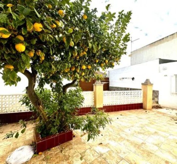 Spain Get your residency! apartment just 50 meters from the beach #0010