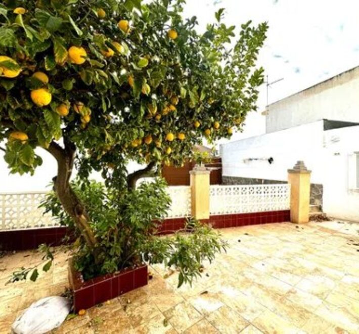 Spain Get your residency! apartment just 50 meters from the beach #0010