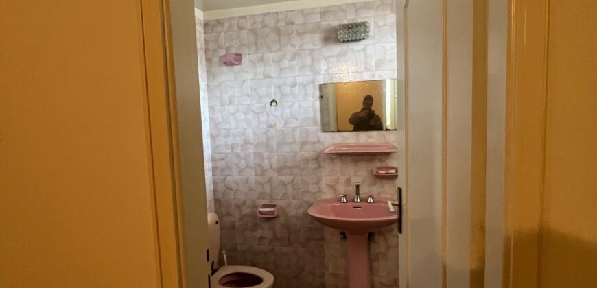 ksara fully furnished apartment 240 sqm for rent prime location, open view #6819