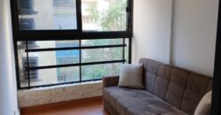beirut ain el mreisseh fully furnished apartment for rent prime location #6847
