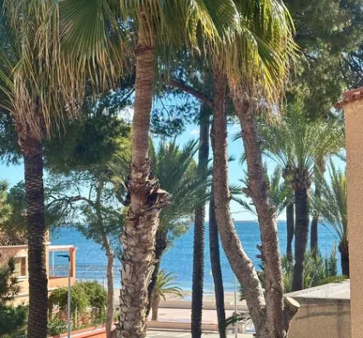 Spain Get your residency! apartment with stunning sea views #0036