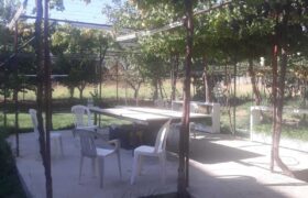 ablah building 4 floors (1 warehouse + 6 apartments) + grapevine land #6876