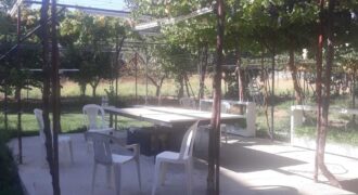 ablah building 4 floors (1 warehouse + 6 apartments) + grapevine land #6876