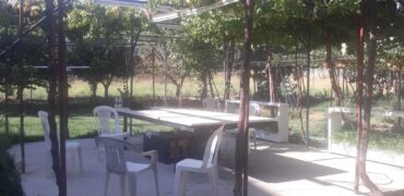 ablah building 4 floors (1 warehouse + 6 apartments) + grapevine land #6876