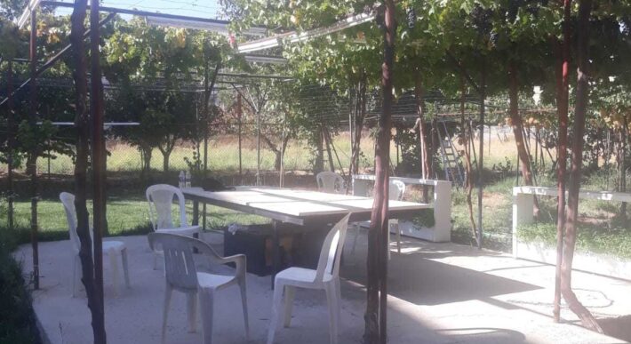 ablah building 4 floors (1 warehouse + 6 apartments) + grapevine land #6876