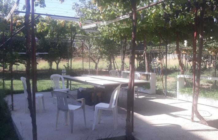 ablah building 4 floors (1 warehouse + 6 apartments) + grapevine land #6876