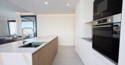 Spain Get your residency! brand new villa fully furnished SVM766926