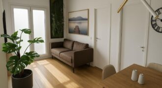 Spain Get your residency! fully renovated apartment prime location PR-00444