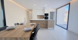 Spain Get your residency! brand new villa fully furnished SVM766926