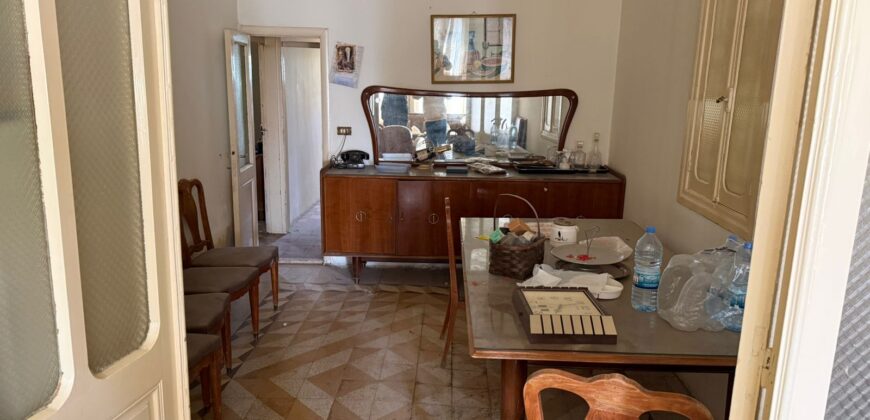 rassieh house with garden for sale, need renovation #6897