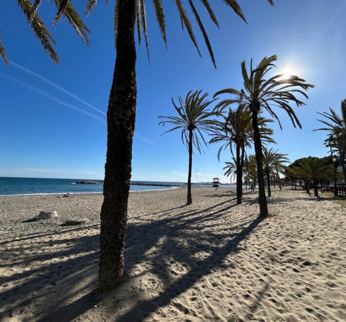 Spain Alicante land 26,750 sqm for sale prestigious area close to the sea #S5
