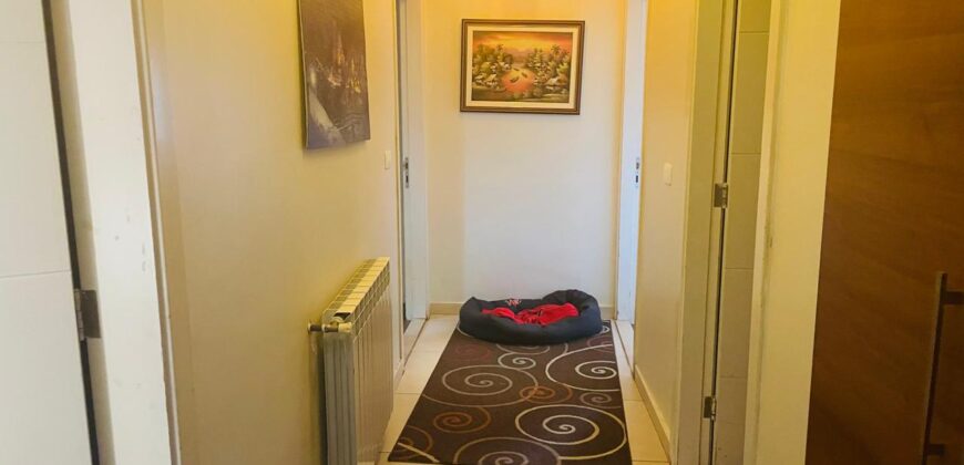 brasilia beautifully decorated apartment 200 sqm for sale# 6906