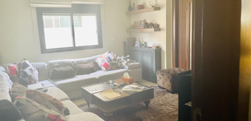 brasilia beautifully decorated apartment 200 sqm for sale# 6906