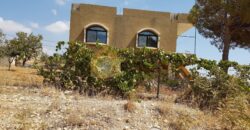 land for sale in zahle with shops and apartment on it .