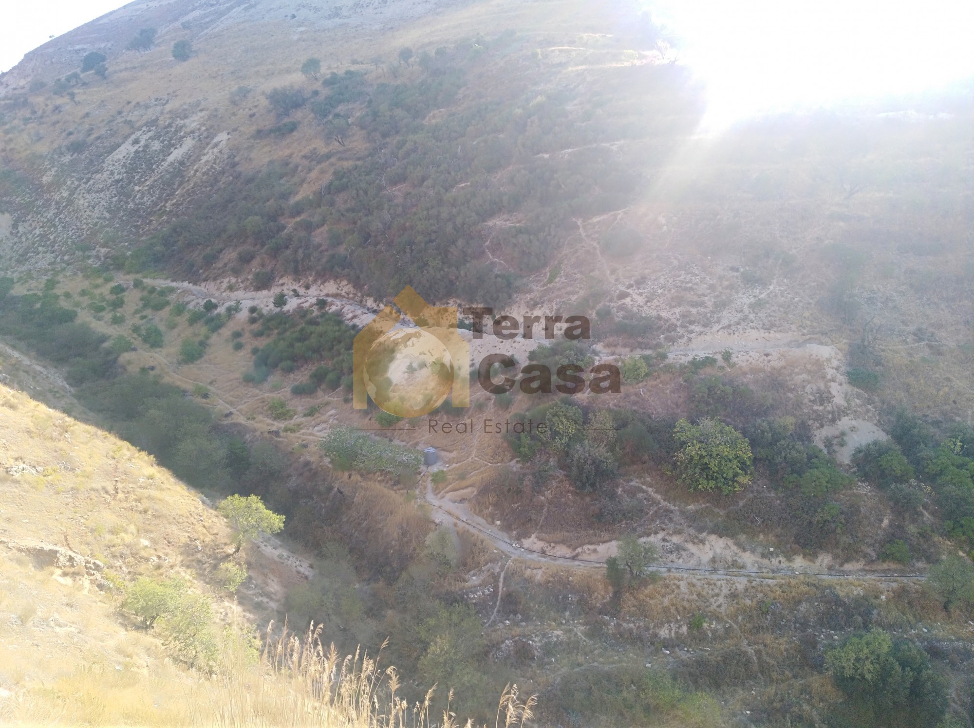 land for sale in zahle wadi el arayesh . Ref#659