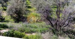 land for sale in niha zahle with open view .