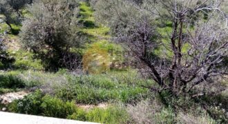 land for sale in niha zahle with open view .