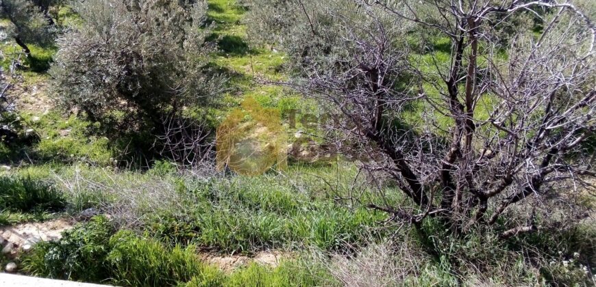 land for sale in niha zahle with open view .