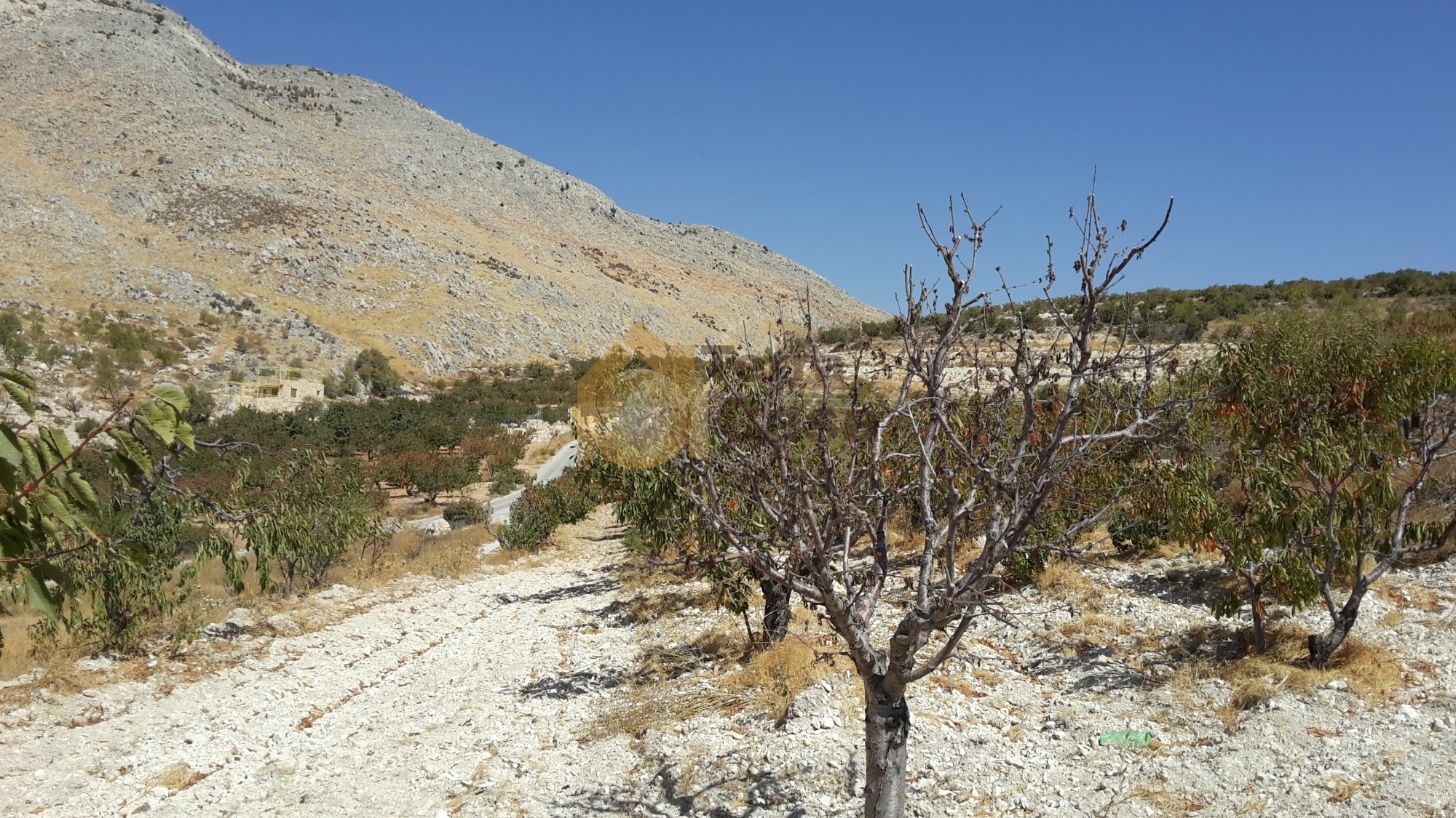 wadi el arayesh land for sale .
