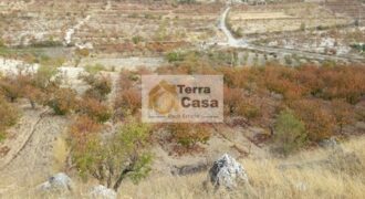 wadi el arayesh land for sale in a nice location. Ref#314