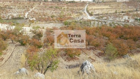 wadi el arayesh land for sale in a nice location. Ref#314
