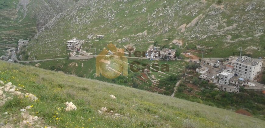 land for sale in zahle wadi el arayesh open view cash.Ref# 1029