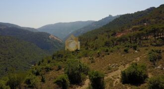 land for sale in broumana ouyoun. Ref#1181