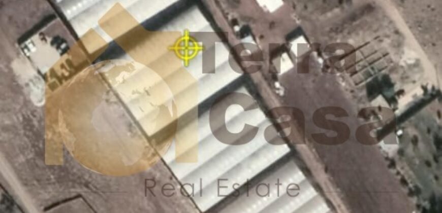 land for sale in sariine good location .