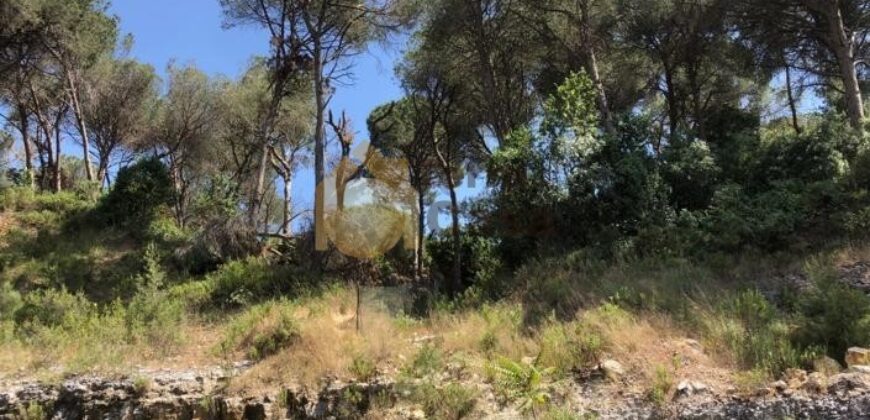 land for sale in Broumana nice location .