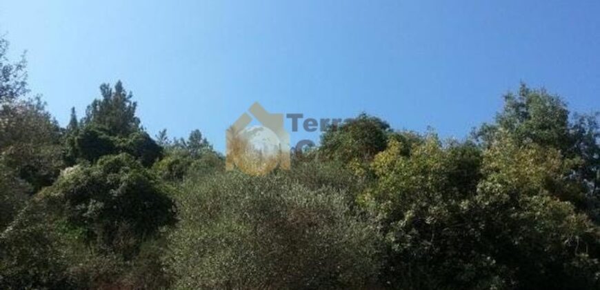 land in bchamoun for sale