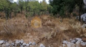 Land for sale in Faytroun cash payment Ref# 2030