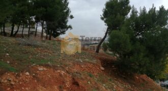 Land for sale in Maalaqa  nice location cash  Ref# 2113