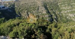 Land in Maaysra  located in nice area  mountain & sea view banker cheque accepted