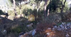 Land for sale in khenchara with open view .Ref# 2194