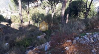 Land for sale in khenchara with open view .Ref# 2194