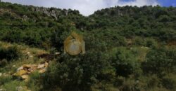 Land in Ferhit Jbeil located in nice area  mountain view ,banker check accepted