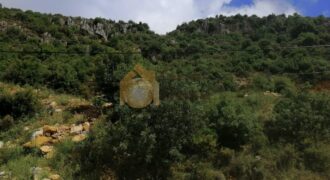 Land in Ferhit Jbeil located in nice area  mountain view ,banker check accepted