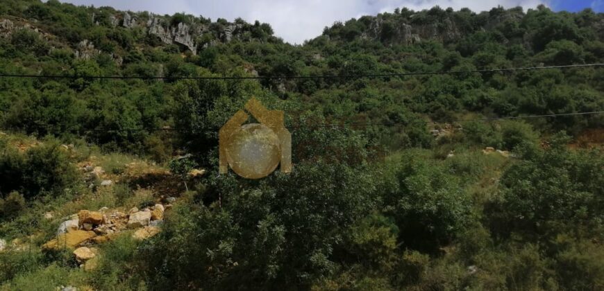 Land in Ferhit Jbeil located in nice area  mountain view ,banker check accepted
