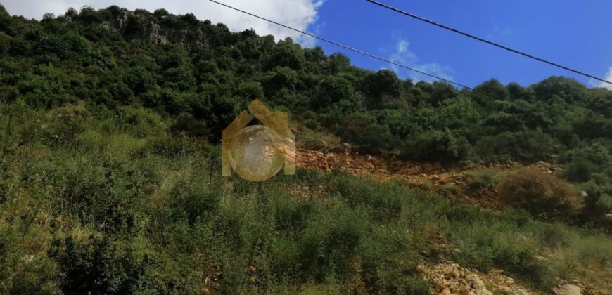 Land in Ferhit Jbeil located in nice area  mountain view ,banker check accepted
