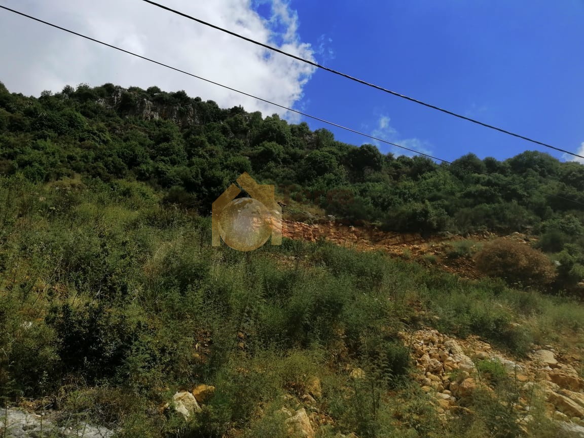 Land in Ferhit Jbeil located in nice area  mountain view ,banker check accepted