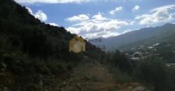 Land in Ferhit Jbeil located in nice area  mountain view ,banker check accepted