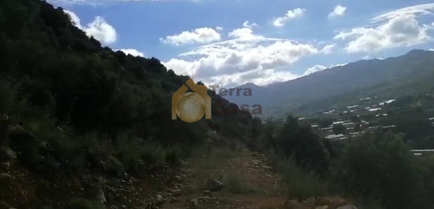 Land in Ferhit Jbeil located in nice area  mountain view ,banker check accepted