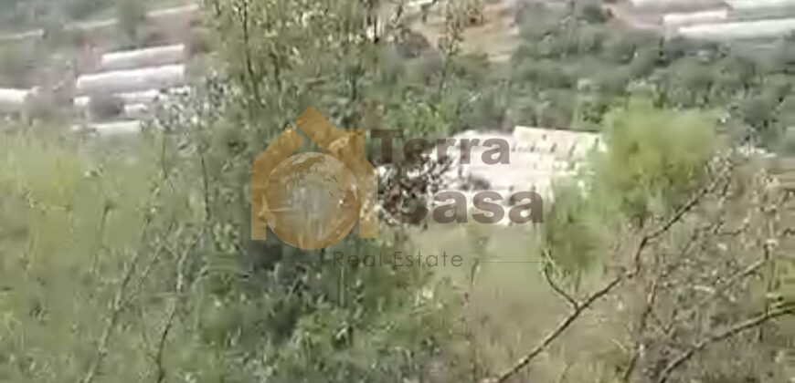 Land in Ferhit Jbeil located in nice area  mountain view ,banker check accepted