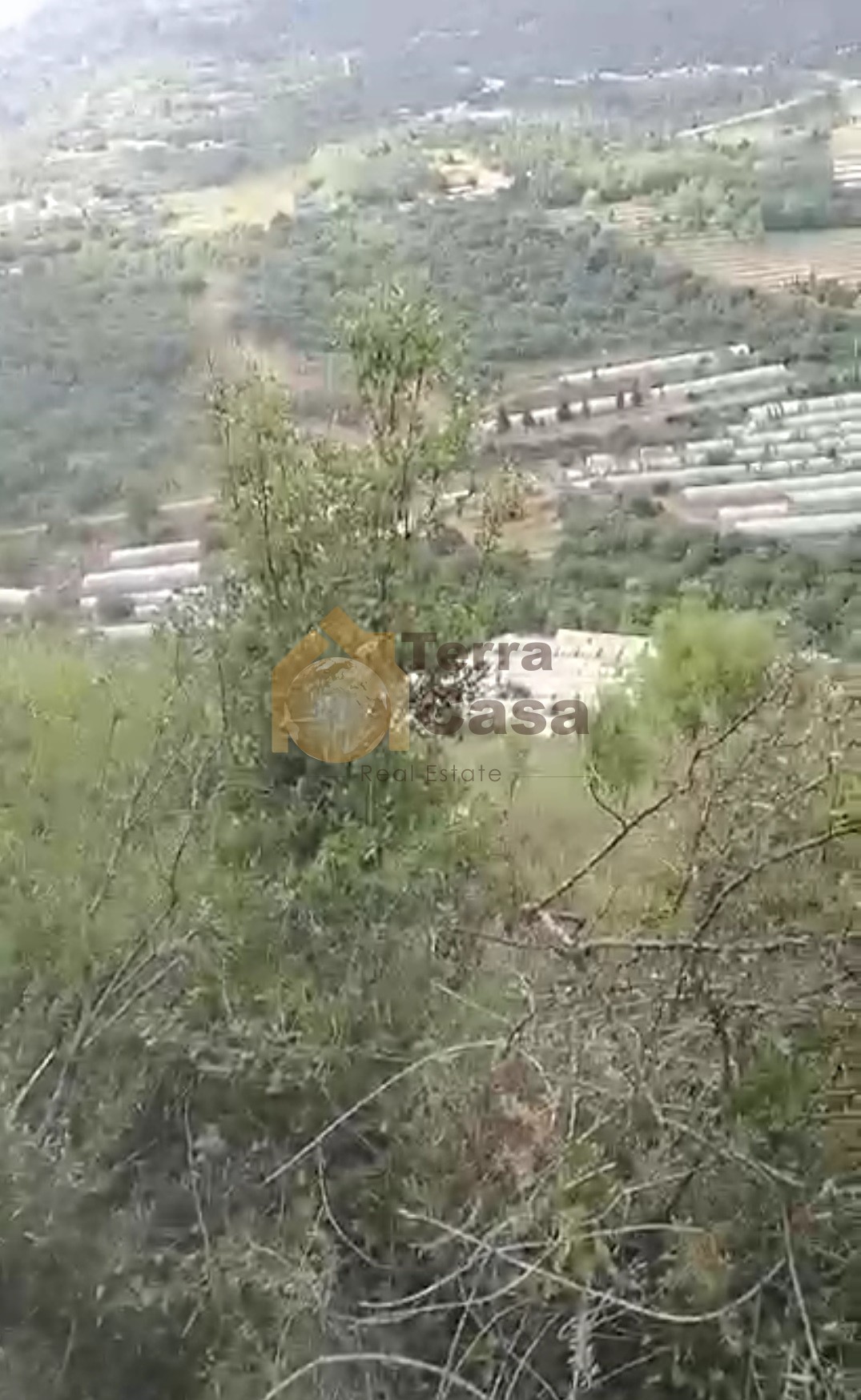 Land in Ferhit Jbeil located in nice area  mountain view ,banker check accepted