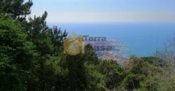 Land in Daroun Harissa  beautiful panoramic sew view