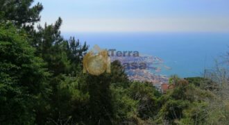 Land in Daroun Harissa  beautiful panoramic sew view